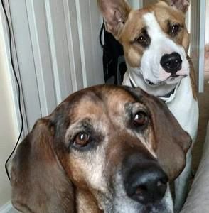 Meet your Posher, Jeanne